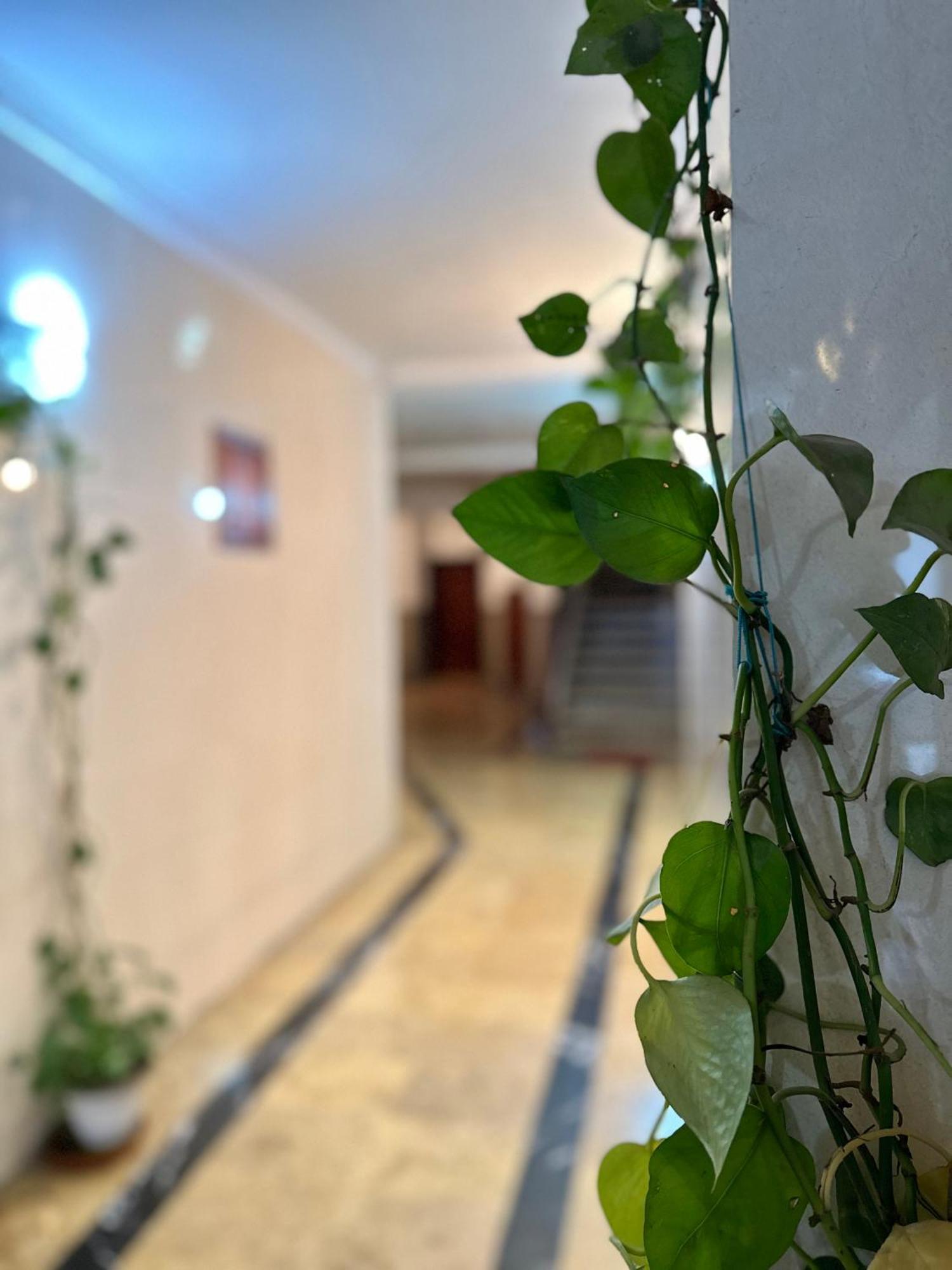 Casa Central Tétouan 외부 사진